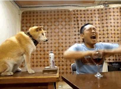 cuoi-rung-ron-voi-24-dieu-ky-quac-chi-co-o-nhat-ban